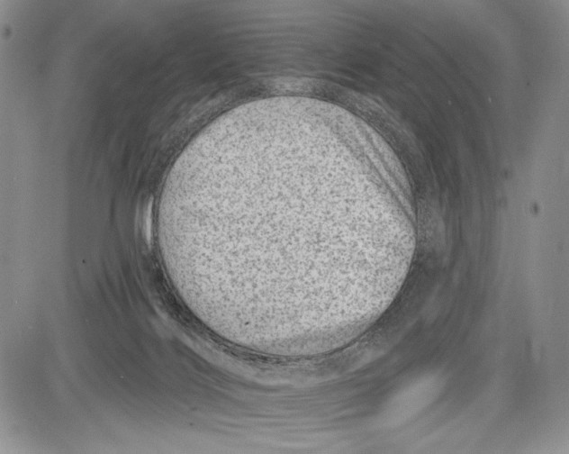 X0000081560028200702051200