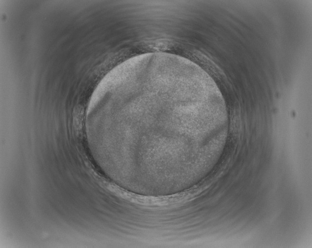 X0000081560030200702051200