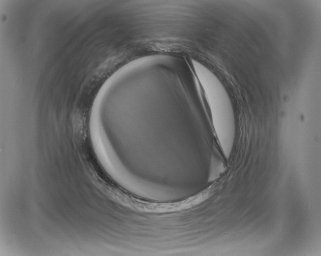 X0000081560031200702051200