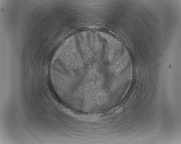 X0000081560032200702051200