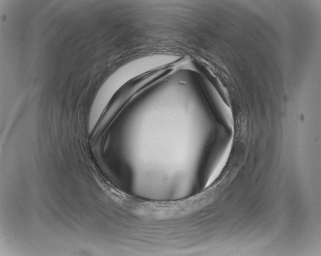 X0000081560033200702051200