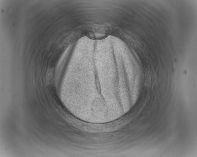 X0000081560034200702051200