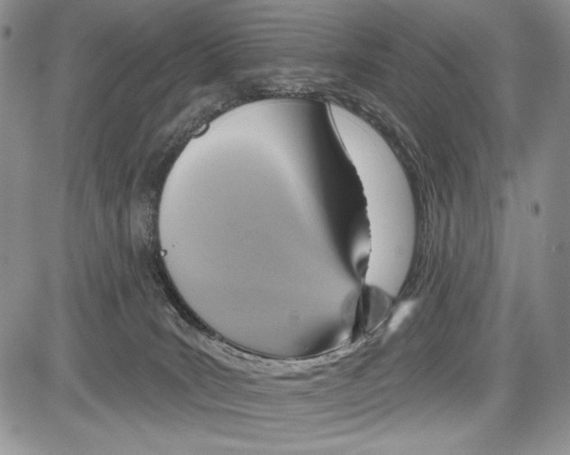 X0000081560035200702051200