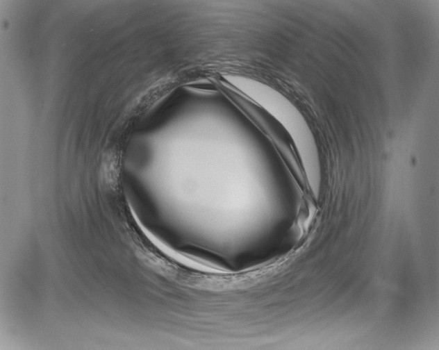 X0000081560037200702051200