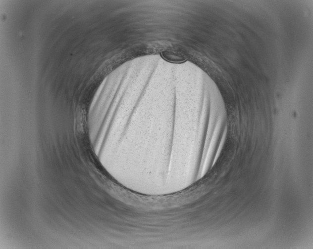 X0000081560038200702051200