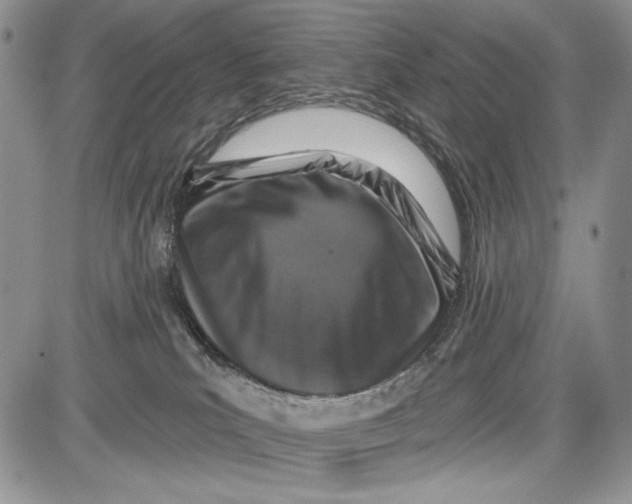 X0000081560039200702051200