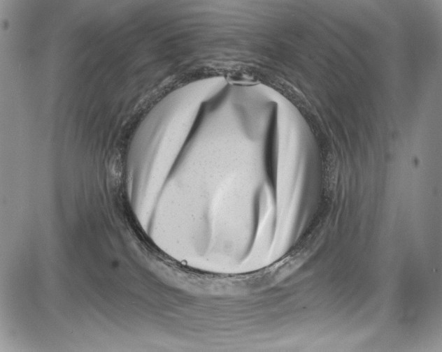 X0000081560040200702051200