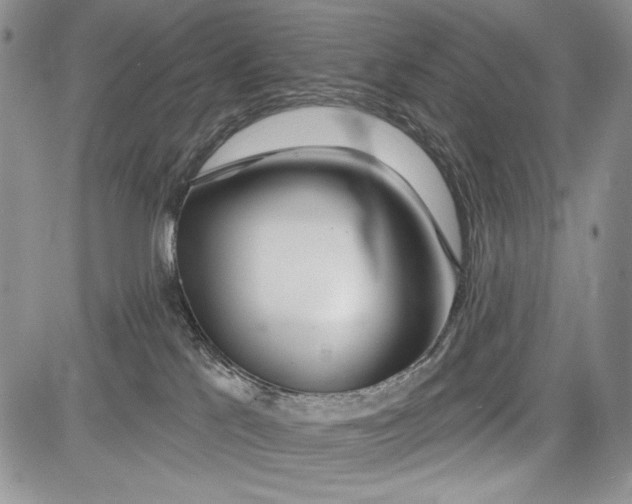 X0000081560041200702051200