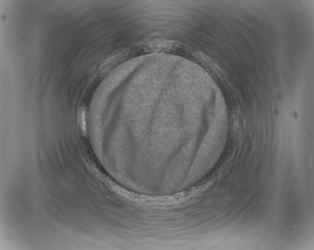 X0000081560042200702051200