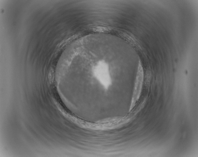 X0000081560043200702051200