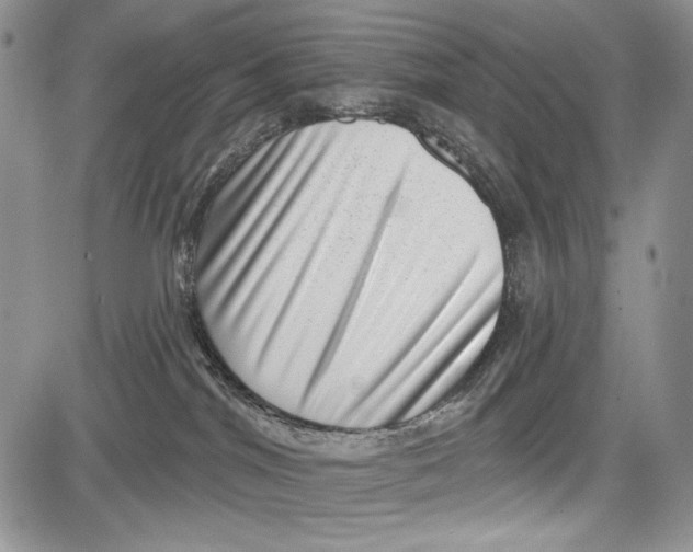 X0000081560044200702051200