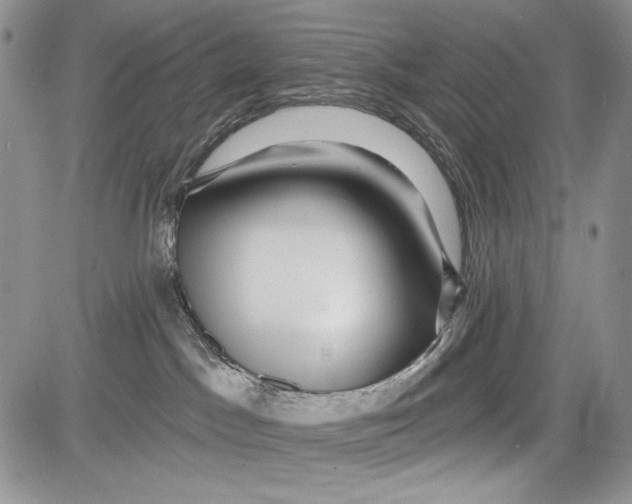 X0000081560045200702051200