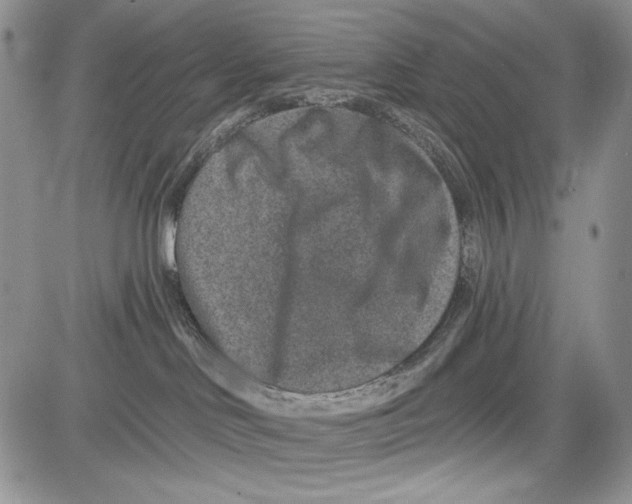 X0000081560046200702051200