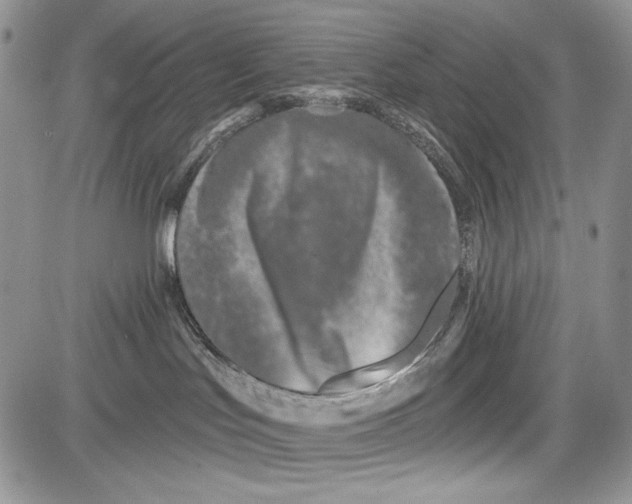 X0000081560047200702051200