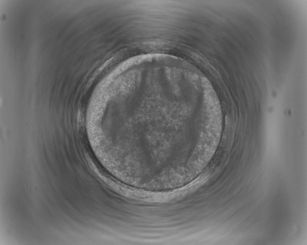 X0000081560048200702051200