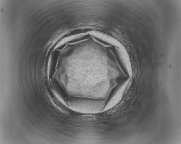 X0000081560050200702051159