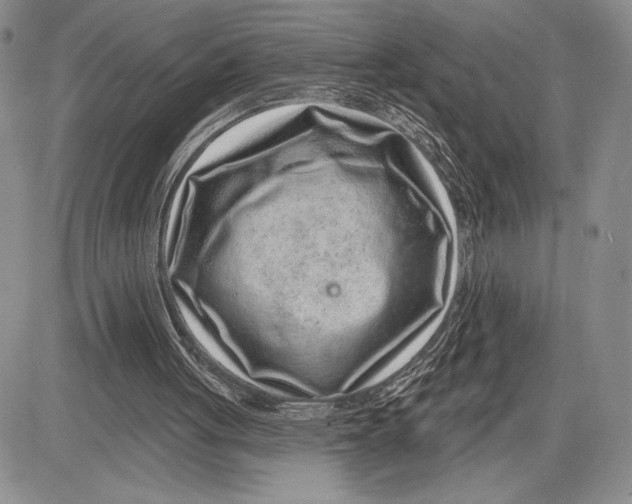 X0000081560051200702051159