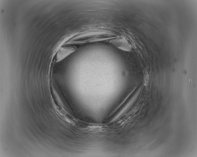 X0000081560052200702051159