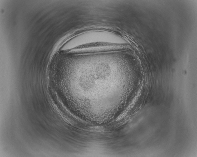 X0000081560053200702051159