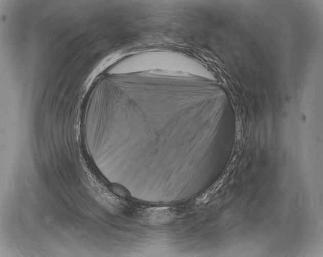 X0000081560054200702051159