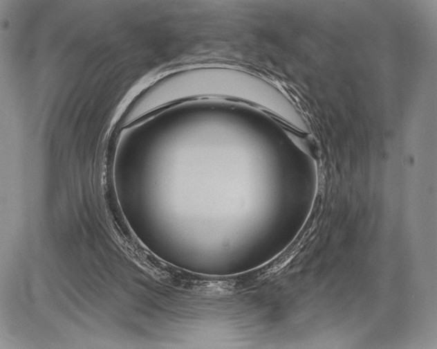 X0000081560056200702051159