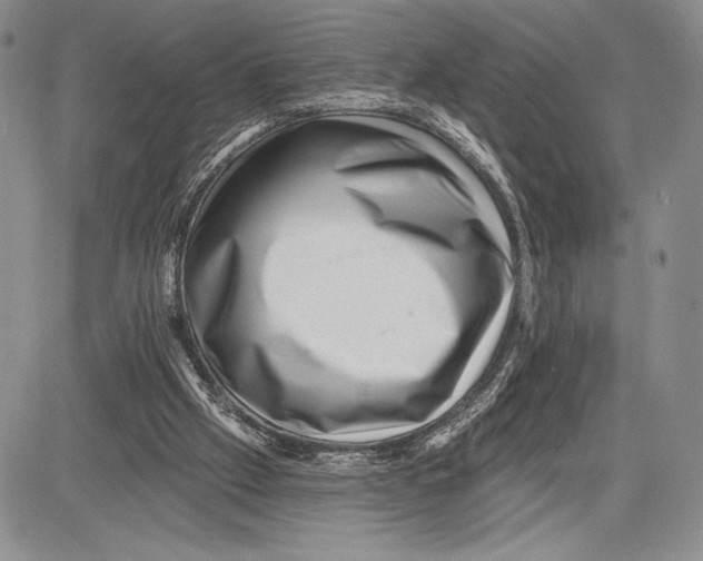 X0000081560057200702051159