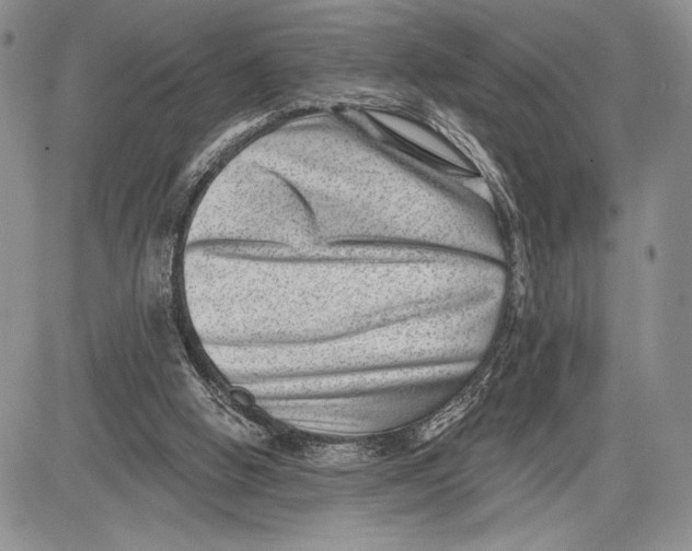 X0000081560058200702051159