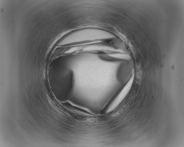 X0000081560060200702051159