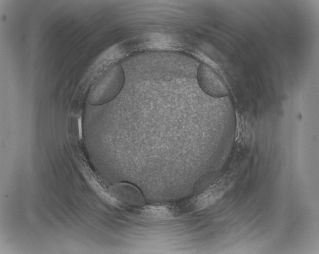 X0000081560061200702051159