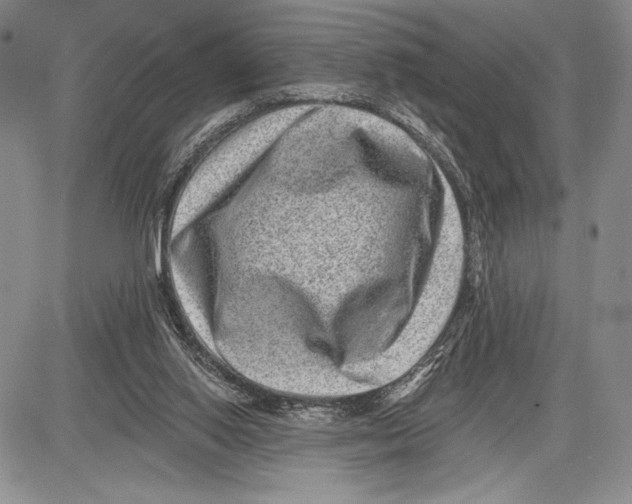 X0000081560062200702051159