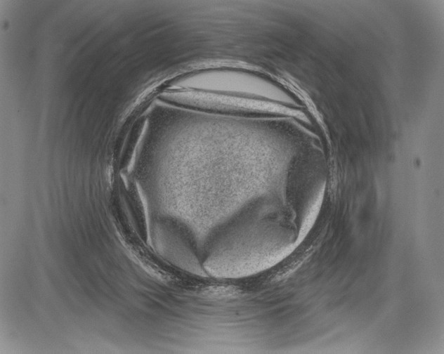 X0000081560063200702051159