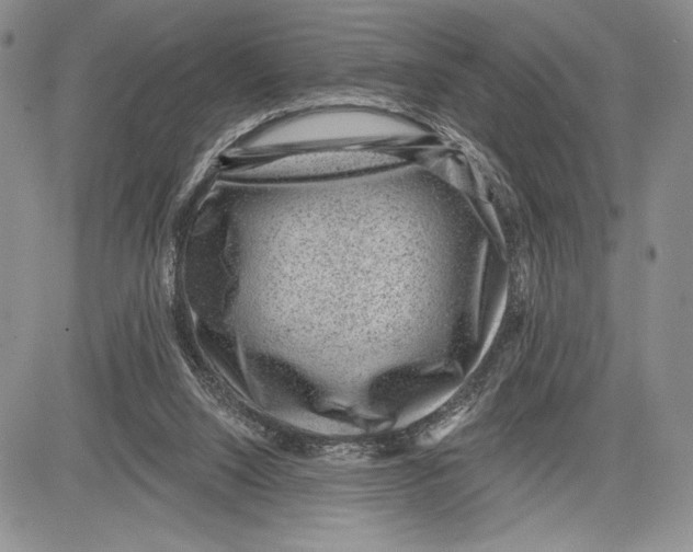 X0000081560064200702051159