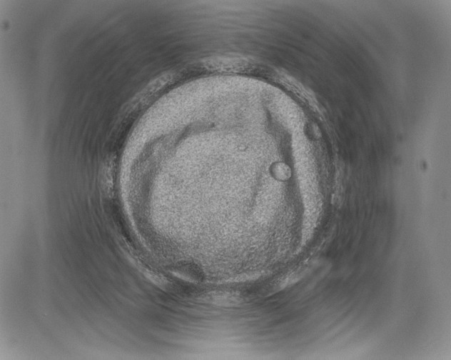 X0000081560065200702051159