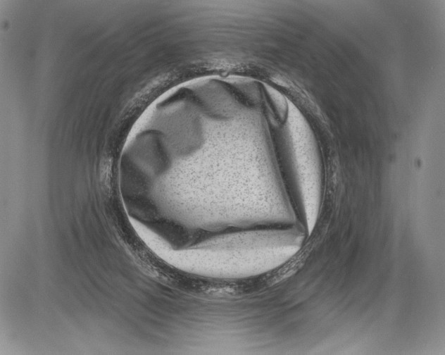 X0000081560066200702051159