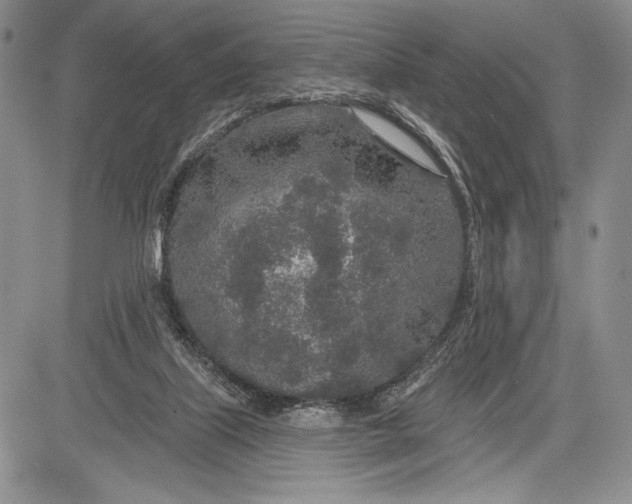 X0000081560067200702051159