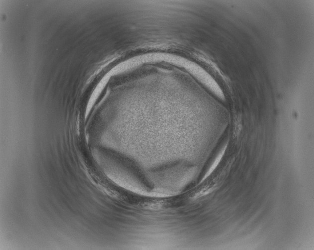 X0000081560068200702051159