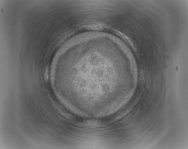 X0000081560069200702051159