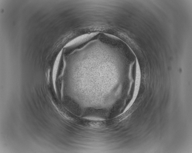 X0000081560070200702051159