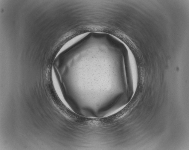 X0000081560071200702051159