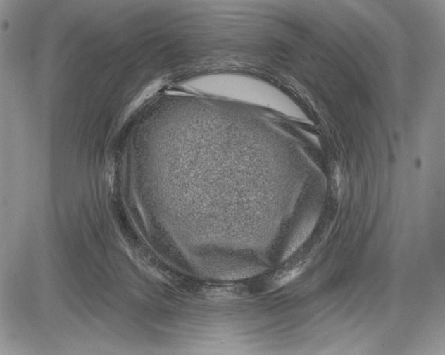 X0000081560072200702051200