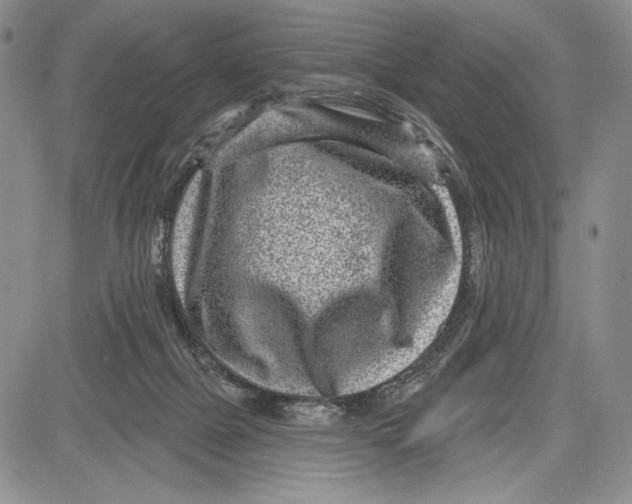 X0000081560073200702051200