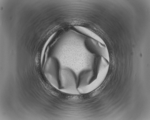 X0000081560074200702051200