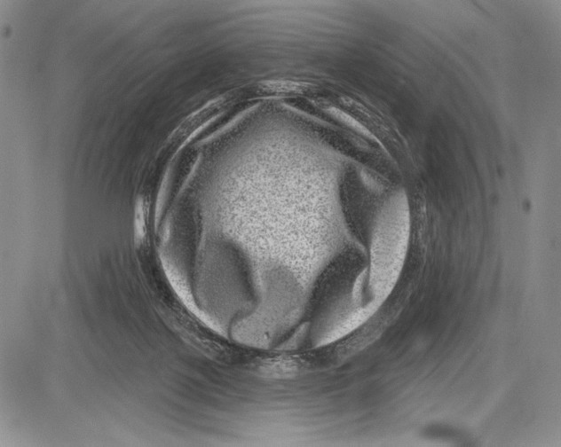 X0000081560075200702051200