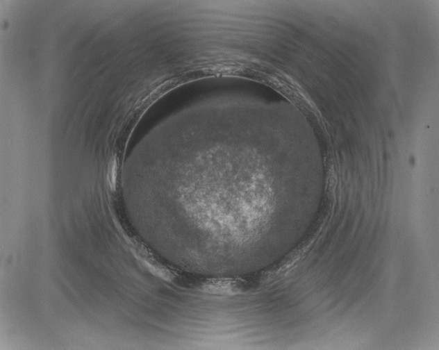 X0000081560076200702051200