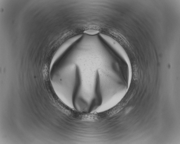 X0000081560077200702051200