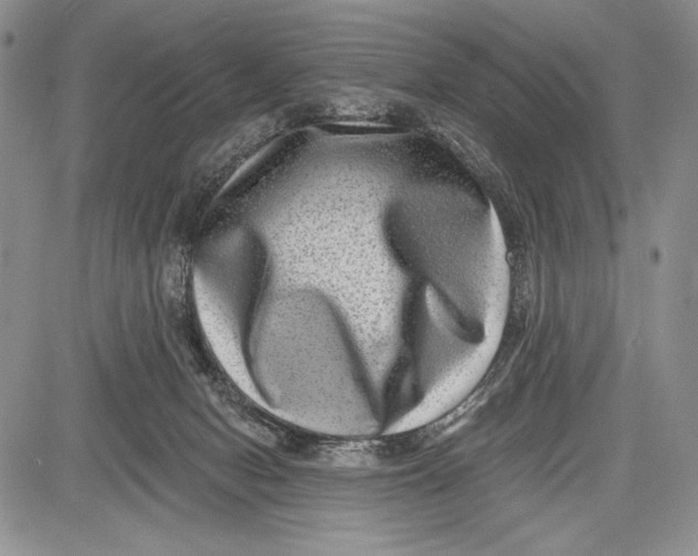 X0000081560078200702051200