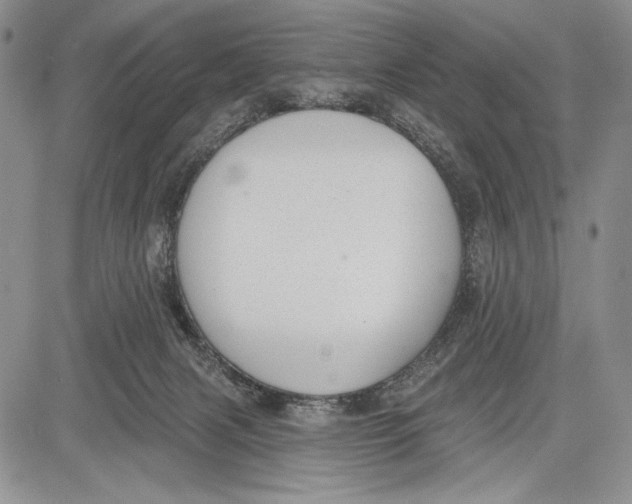 X0000081560079200702051200