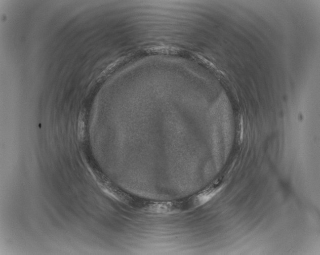 X0000081560080200702051200