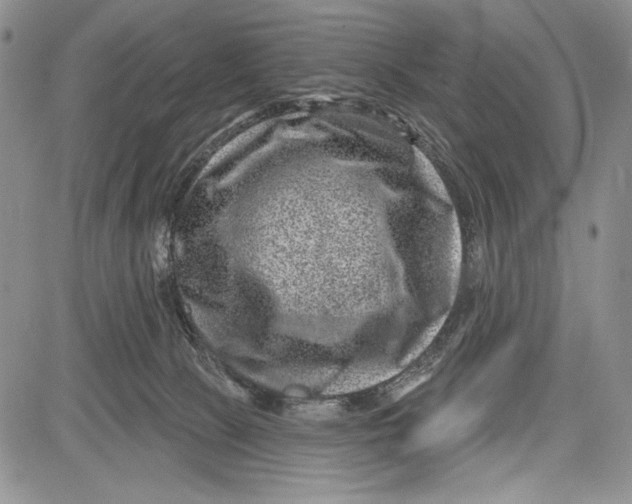 X0000081560081200702051200