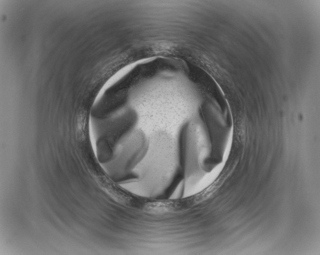 X0000081560082200702051200